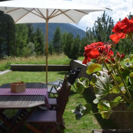 Chalet Do Costa Pozza di Fassa Bagian luar foto